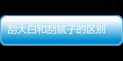 子的大白多少白和呢区别钱一刮大刮腻 刮平米